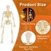 10 Pcs Mini Halloween Skeleton Decorations, White Small Plastic Skeleton