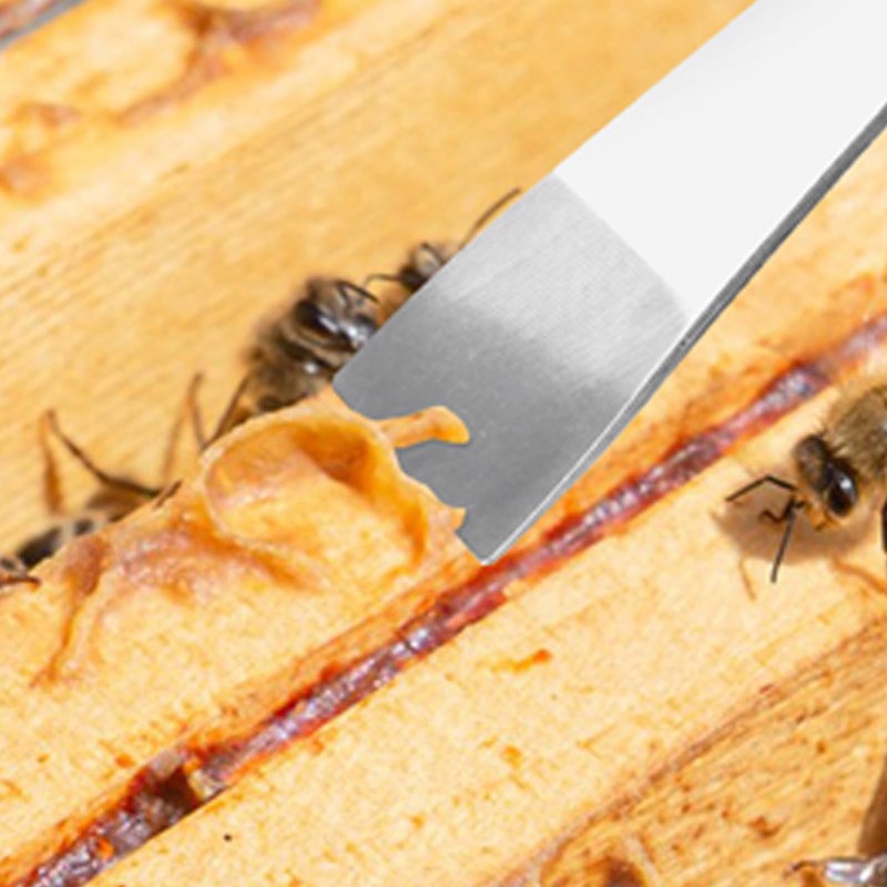 Thickened Stainless Steel Pry Bar Scraper Nail Puller for Disassembly