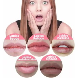 Bálsamo Labial Nutritivo Lipstick Suave Hidratante Aroma 5pz                                                                                          