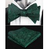 Alizeal Mens 2pcs Paisley Jacquard Tuxedo Self Bow Tie with