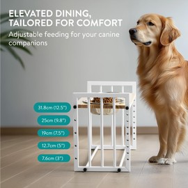 Navaris Double Elevated Cat Bowls - Raised Cat Bowl Set with Bamboo Stand for Indoor Cats and Small Dogs - Stainless Steel Pet Food and Water Dishes (Style 2)