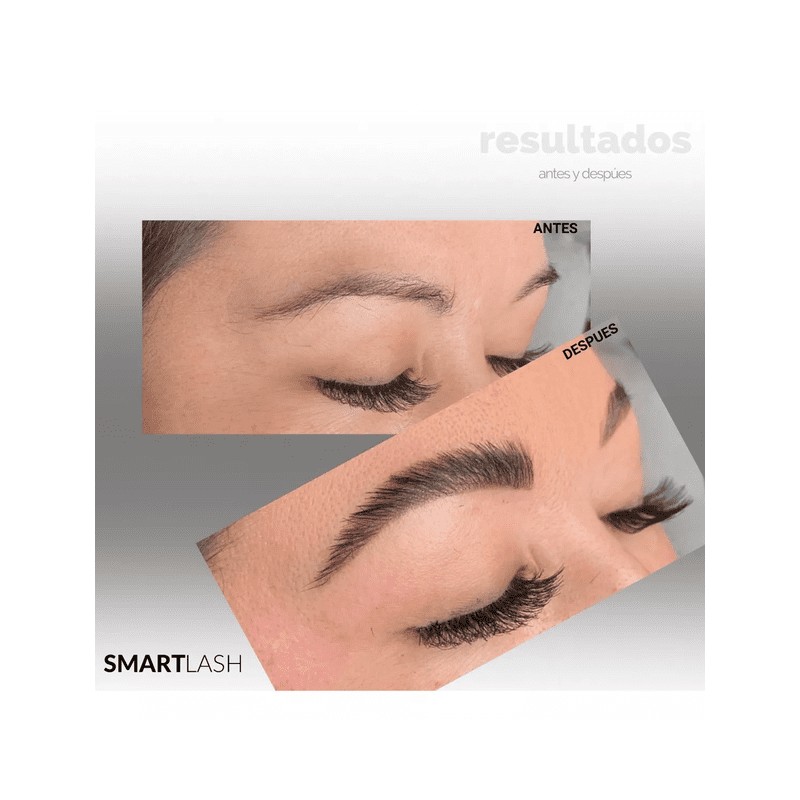 Kit Planchado De Ceja + Lash Lifting +2 Pigmentos 42