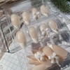 24Pcs White French Press on Nails Short Almond,Pearl White Bow