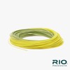 Rio Premier Rio Gold, Moss/Gold, WF9F