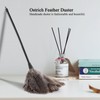 Reusable Handheld Ostrich Feathers Duster, Small Feathers Dusters for Cleaning,