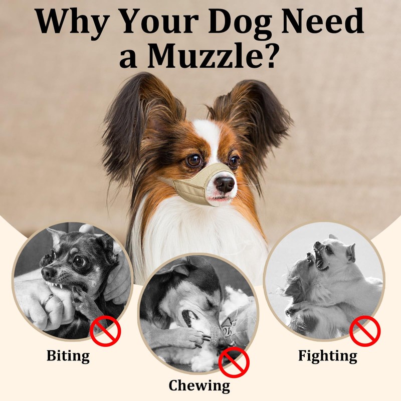 Mayerzon Short Snout Dog Muzzle, Small Muzzle for Chihuahua Shih