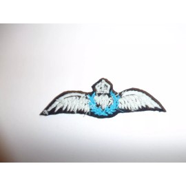 e1663 Korea War Royal Australian Air Force RAAF Pilot wing UN Forces R21B2