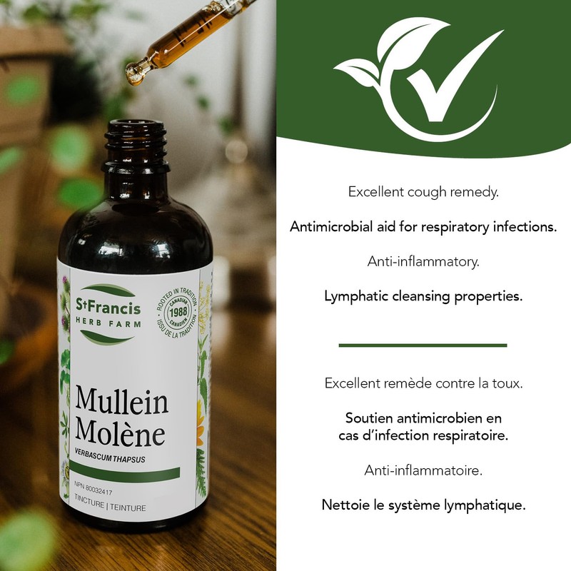 St. Francis Herb Farm St. Francis Herb Farm - Mullein