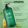 Botanic Hearth Eucalyptus & Tea Tree Body Wash | 16