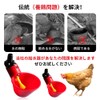 Automatic Chicken Water Feeder Drinking Cup Water Saving Design Feeder