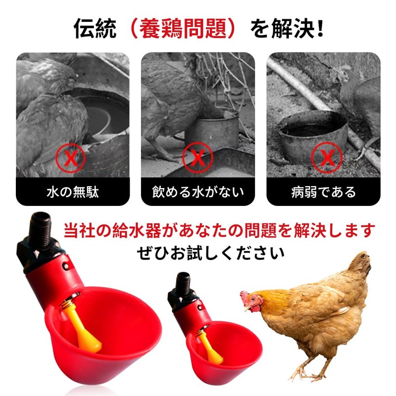 Automatic Chicken Water Feeder Drinking Cup Water Saving Design Feeder