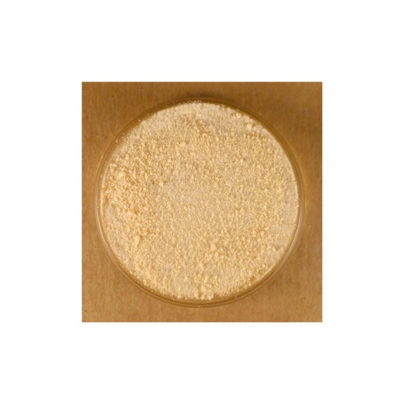 Honey Powder - 10 lbs Bulk