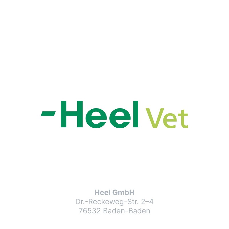 Ichtho vet Derma Gel by Heel Vet - Gentle and