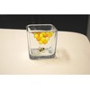 Honey Bee Honeycomb Yellow Hand Painted Stained Glass Square Candle