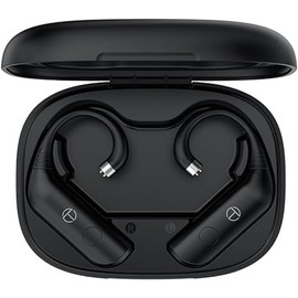 Fanmusic TRN BT20 Pro True Wireless Bluetooth 5.3 Earphone Module Swappable connectors (Headphones not Included) (2pin-S)