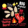COOL BIRDS Hearts on Fire Hot Bird Seed – 10