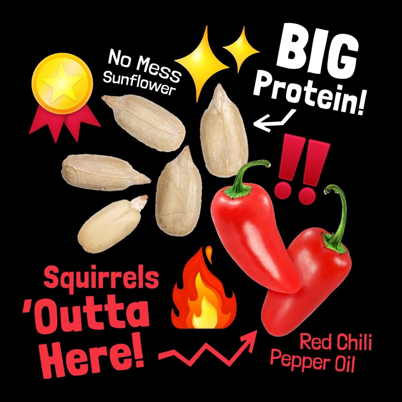 COOL BIRDS Hearts on Fire Hot Bird Seed – 10