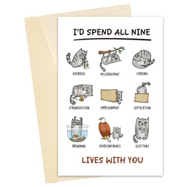 Heyshoo Cute Cat Theme Valentine's Day Card, Funny Kitty Anniversary Card for Cat Lover, I'd Spend All Nine Lives With You Card, Romantic Vday Card for Cat Dad Mom