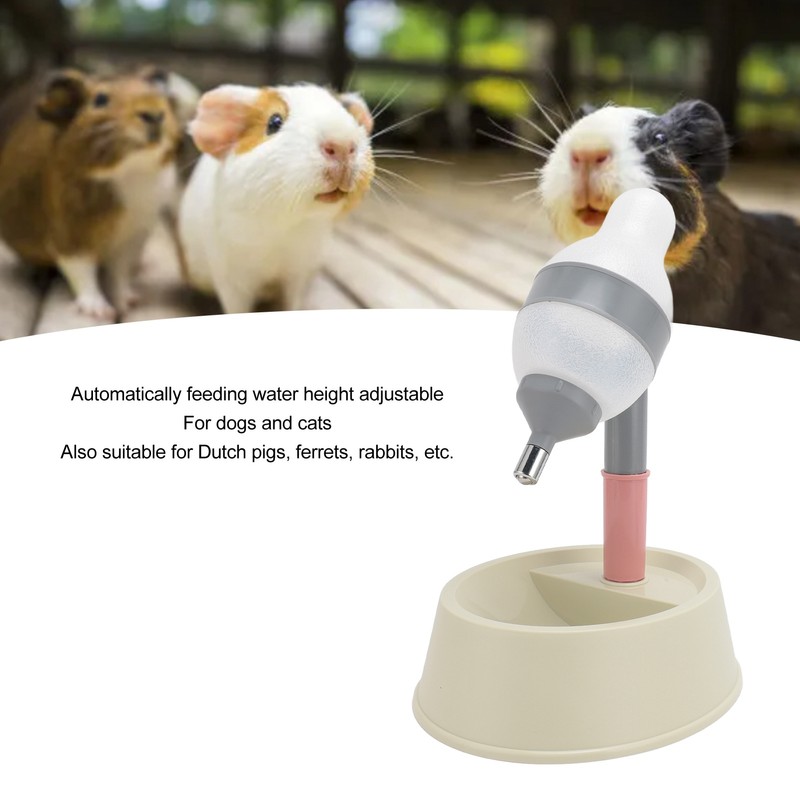Pet Standing Water Dispenser 2 in 1 Cat Dog Standing