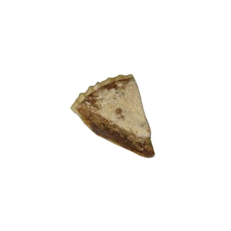 Bird-in-Hand Smucker Bakery Homemade, Wet-Bottom 10" Shoofly Pie