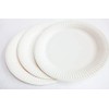 HOT BARGAINS 100 X 9 Inch Disposable Paper Plates for