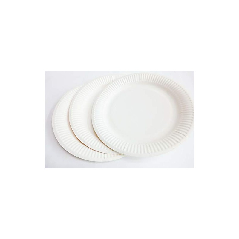HOT BARGAINS 100 X 9 Inch Disposable Paper Plates for