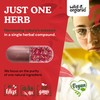 Wild & Organic Tart Cherry Capsules 600 mg - Uric
