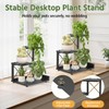 LASZOLA Plant Stand Indoor Tabletop Small for Desk, 3 Tier