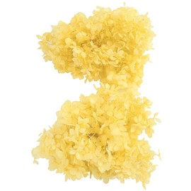 Earth Farms Preserved sohutopiramiddoazisai・heddo (2 Wheels) – Morning Yellow do01510 – 501