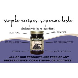 Dillman Farm All Natural Seedless Blackberry Preserves - Gluten-Free, Non-GMO, Vegan, Kosher, Eco-Friendly, Preservative Free, Corn Syrup free - Made in USA, 16oz (Pack of 6)