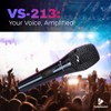 VybeSound VS-213 Professional Dynamic Vocal Microphone – 13ft XLR Cable,