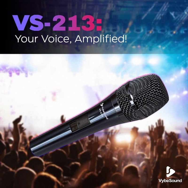 VybeSound VS-213 Professional Dynamic Vocal Microphone – 13ft XLR Cable,