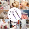 variable Kit De Tijeras Tornasol Para Estilista , Peluquero 4pz