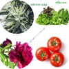 Vegelumax 600W Double Ended High Pressure Sodium DE HPS Grow