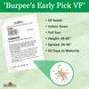 Burpee 'Early Pick VF' Hybrid | Red Beefsteak Slicing Tomato