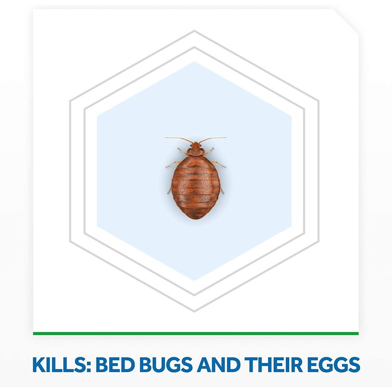 Raid Bed Bug Foaming Spray, for Indoor Use, Non-Staining 16.5