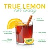 TRUE LEMON Water Enhancer, Bulk Dispenser, 0 Calorie Drink Mix