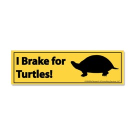 CafePress I Brake for Turtles Bumper Sticker Car Magnet 10" x 3", Bumper Magnet
