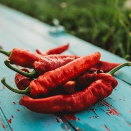 Thresh Seed Co. Jimmy Nardello's Sweet Italian Pepper - 25 Seeds - Popular Italian Frying Pepper, Sweet Red Peppers, Non-GMO Sweet Pepper Seeds for Planting in The Home Garden, Thresh Seed Company