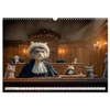 Katzipations - Professional cats in action, US-Version (Wall Calendar 2026