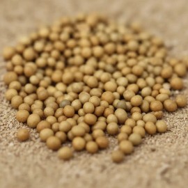1kg Osmocote 14 14 14 - Triple - Liberación Lenta 4 Meses
