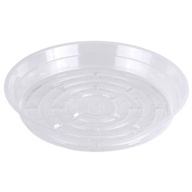 Curtis Wagner 759188080006 Round Clear Vinyl 8" Plant Saucer-25 Pack