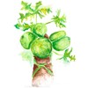 Green Papaya Fruit Powder 6oz = 170 grams