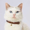 Petio Collar Necoco Cat Collar Brown Cat Collar
