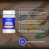 7 Artists Acrylic Retarder 100ml Retarder for Acrylic Paints |