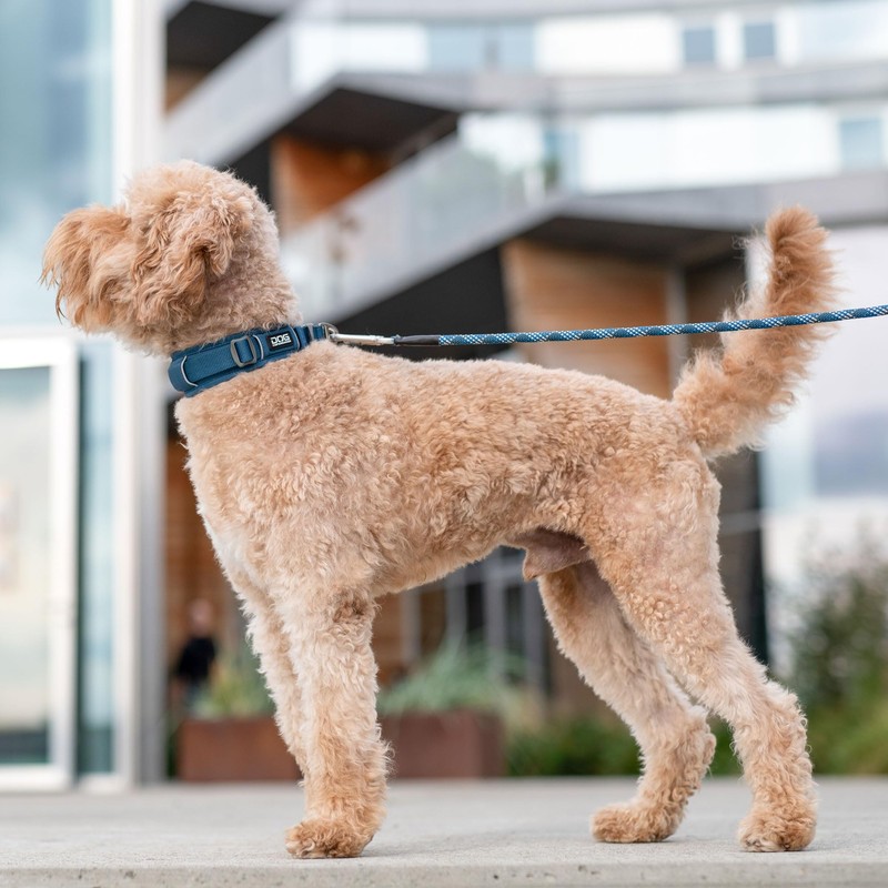 DOG Copenhagen Urban Explorer 3.0 Collar, Desert Dune, Small