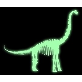 Brachiosaurus Skeleton Vinyl Decal - 11 Inches - for Walls, Windows, Doors, Vehicles - Outdoor-Grade 6mil Thick Vinyl - Glow in The Dark