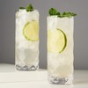 Viski Raye Gem Crystal Highball Tumblers Set of 2 -