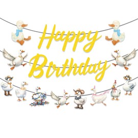 One Silly Goose Birthday Decor Girls boys Include Silly Goose Happy Birthday Banner Silly Goose Birthday Theme Party Supplies