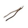 Heavy Duty Dental Extracting Forceps # 151 Apical Forcep